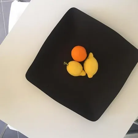 Center Rabdells Playa Oliva